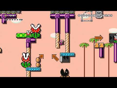 Purple Tube Wasteland by bran98 [SMM2]