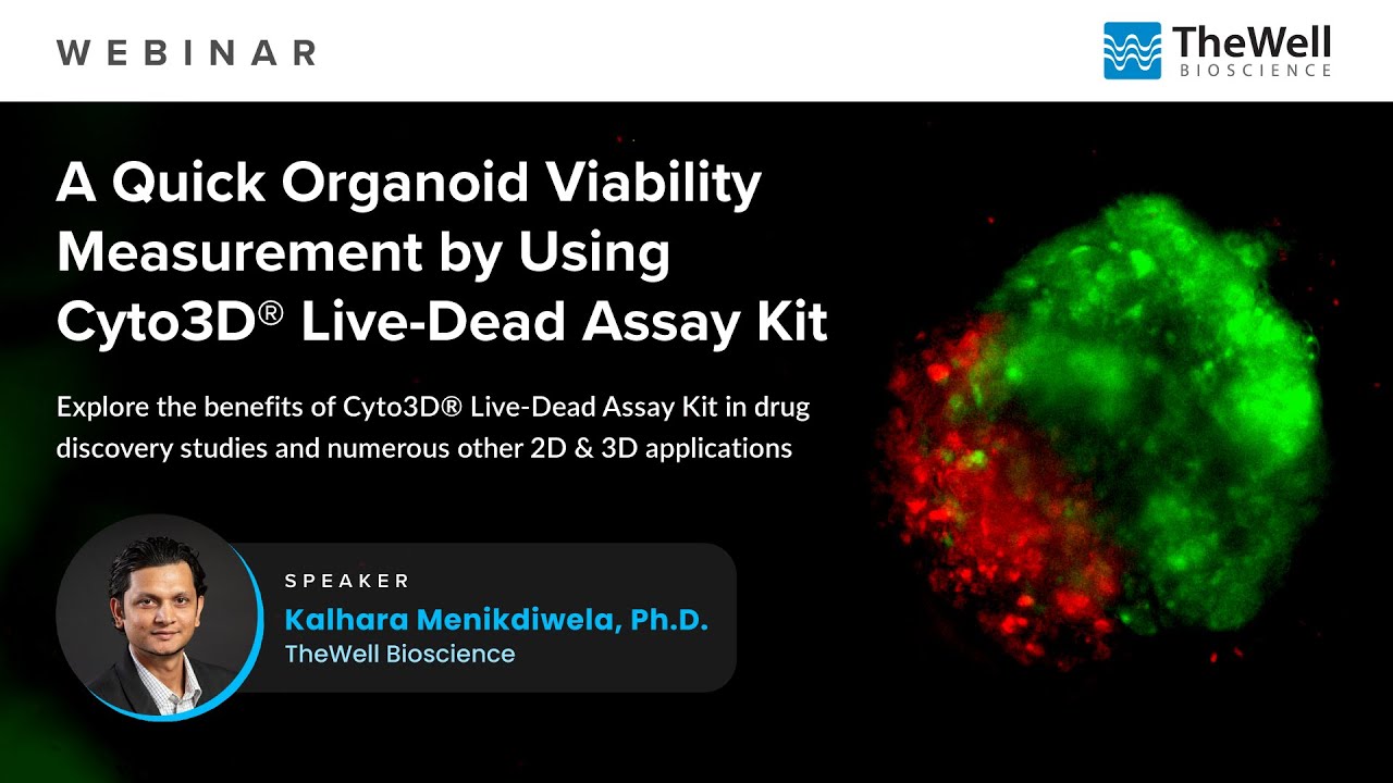A Quick Organoid Viability Measurement by Using Cyto3D® Live-Dead Assay Kit -Dr. Kalhara Menikdiwela
