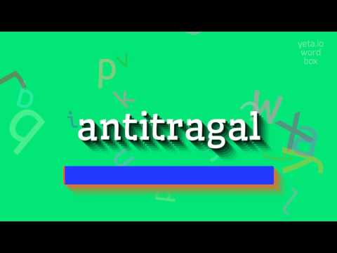 ANTITRAGAL - 🎥 Why is the antitragal piercing becoming so popular? Find out the truth behind a