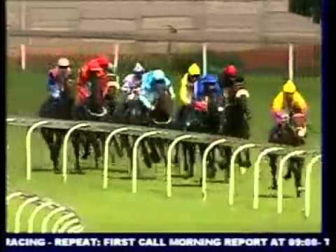 2012-12-23 Turffontein - race 5