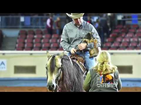 A Judge's Perspective: 2017 AQHA World Senior Reining World Champion
