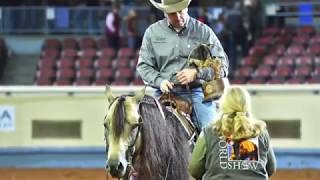 A Judge&#39;s Perspective: 2017 AQHA World Senior Reining World Champion