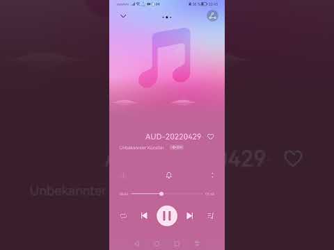 Senit, 💯Wand, Sars Gang Berlin 2009