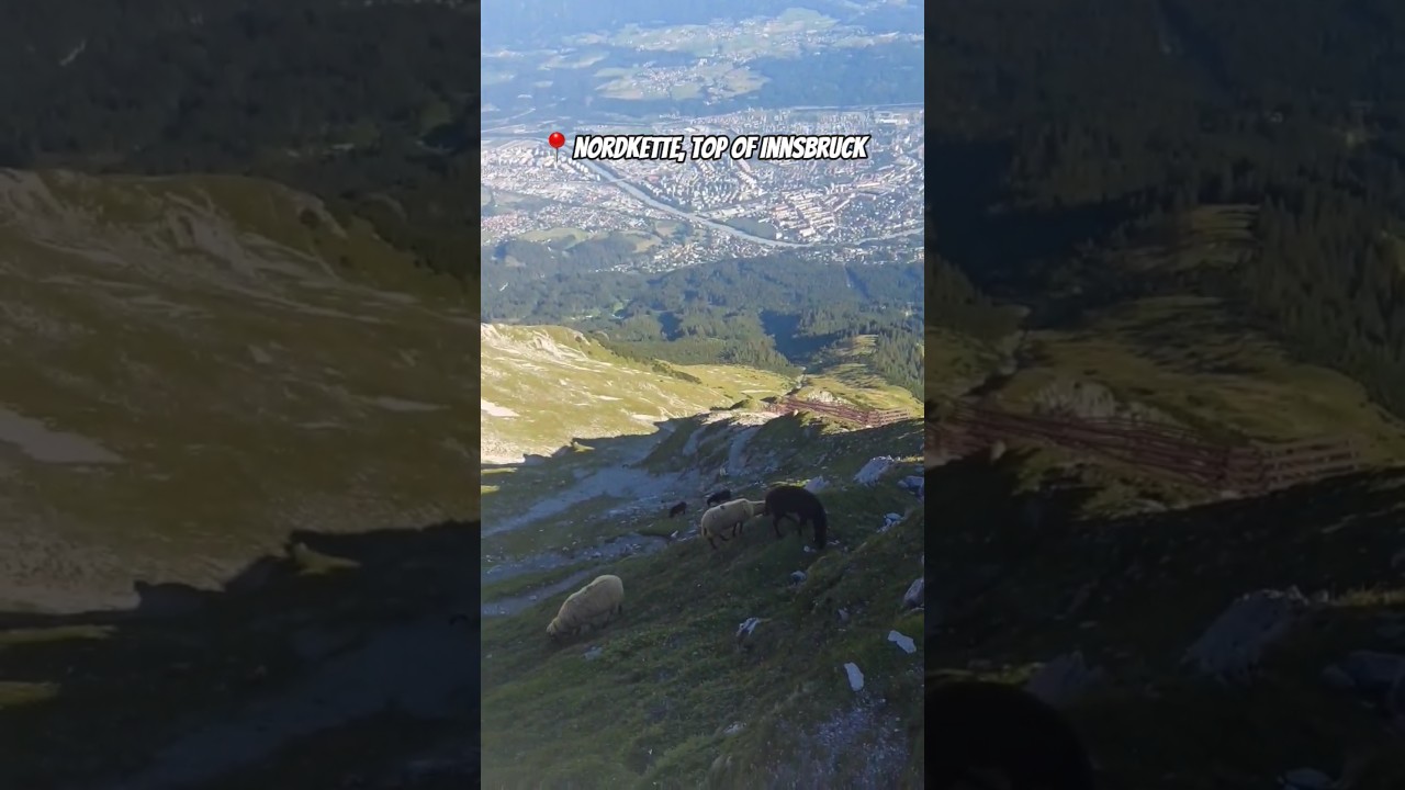 YouTube Short thumbnail