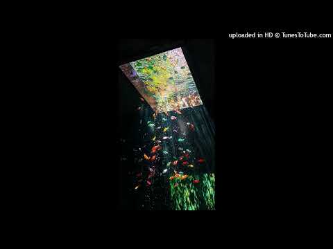 "$PASSAGWAY$"TENNGAGE X HYDRA X FREDDIE DREDD TYPE BEAT (prod. MITXKI_)