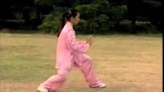 Dungen Skit I Allt Soda-tai chi visuals