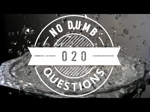 No Dumb Questions 020 - Sax, Drugs, and Rock n' Roll (With Leanor Ortega Till)