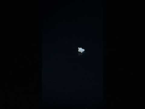 YouTube 썸네일