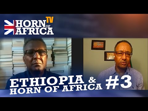 HoA TV  - #3 Ethiopia, Horn of Africa and beyond - Prof. Mohamed Hassan and Elias Amare, Sep 11 2020