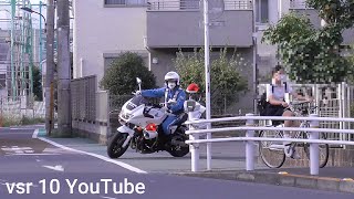 [問卦] 日本警察抓停止再開也太機車了吧？
