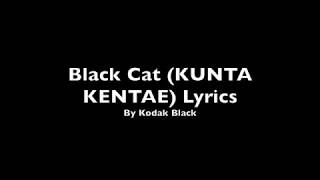 Kodak Black-Black Cat Lyric Video