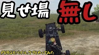 クマとPUBGモバイルやったけど見せ場全然ありませんでした！！