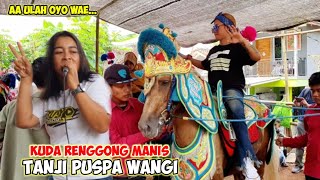 Download lagu Aa Ulah Oyo Wae - Gala Gala Versi Tanji Kuda Renggong Puspa Wangi di Bosok kuda manis mp3 Download lagu Aa Ulah Oyo Wae - Gala Gala Versi Tanji Kuda Renggong Puspa Wangi di Bosok kuda manis mp3