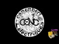 Gong "Radio Gnome Prediction"