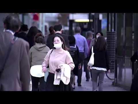 日本のカーボンニュートラル化計画 (Japan's plan to go carbon neutral)