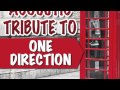 Moments - One Direction Acoustic Tribute 