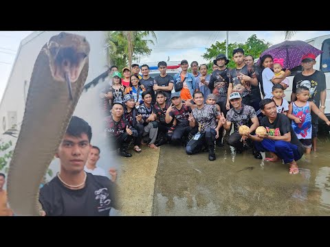 NAG SANIB PWERSA SA JUMBO KING COBRA