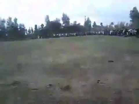 Wariitee  furii  siriba gahelaa