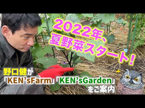 野菜の旧暦2022年6月：月のあるガーデニングがおしゃれ！  庭園