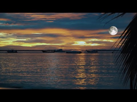 Fall Asleep On A Full Moon Night With Calming Wave Sounds | 8 Hours of Deep Sleeping on Mareta Beach