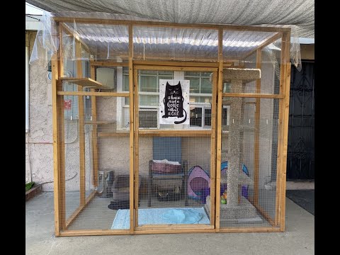 DIY “Catio” - Outdoor cat patio! (Made it all by myself!)