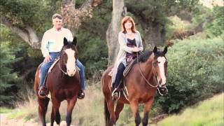 Days Like These - Sandra Piller