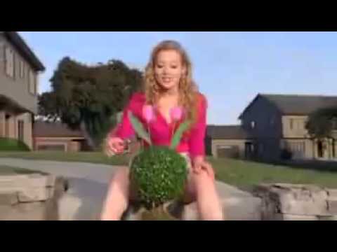 1553167_288294587988821_449929449_n.mp4