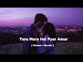 𝐓𝐞𝐫𝐚 𝐌𝐞𝐫𝐚 𝐇𝐚𝐢 𝐏𝐲𝐚𝐫 𝐀𝐦𝐚𝐫 ️ Slowed Reverb