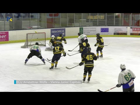 ECU Amstettner Wölfe – Vienna Junior Capitals