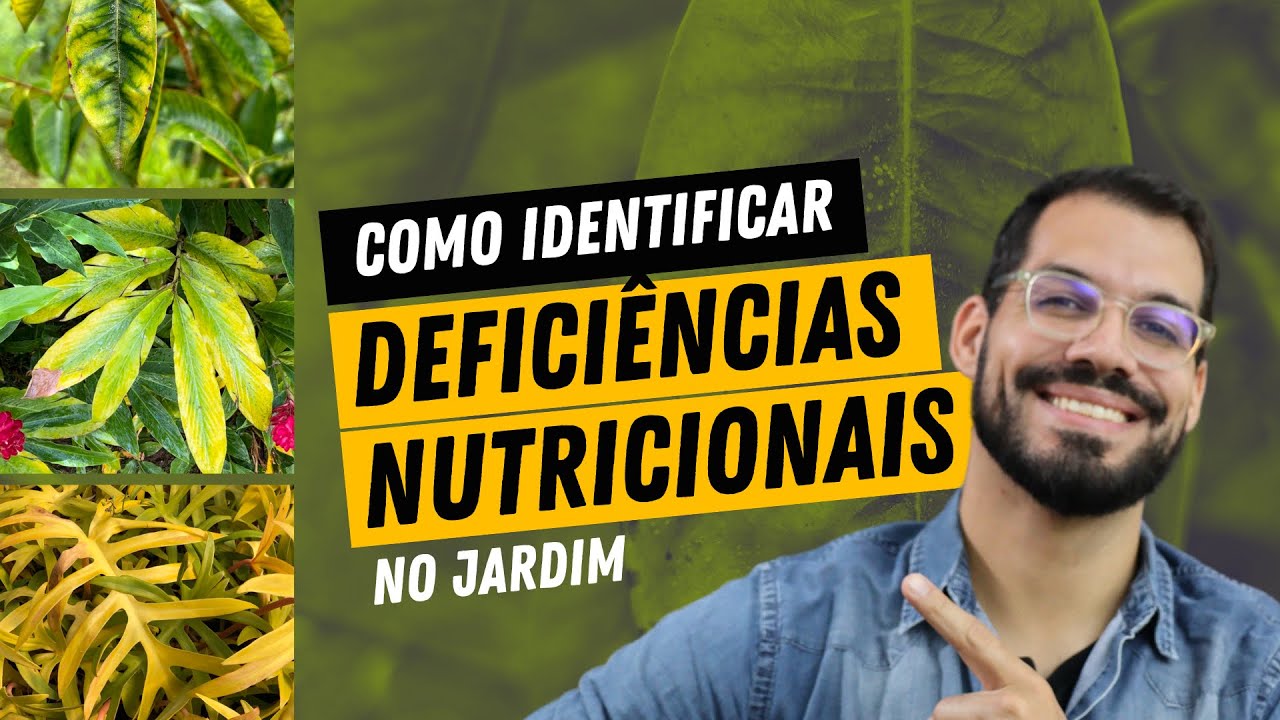 DEFICIÊNCIAS NUTRICIONAIS nas plantas: aprenda como identificar