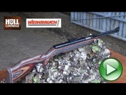 REVIEW: Weihrauch HW77 K Air Gun - Hunting Air Rifle