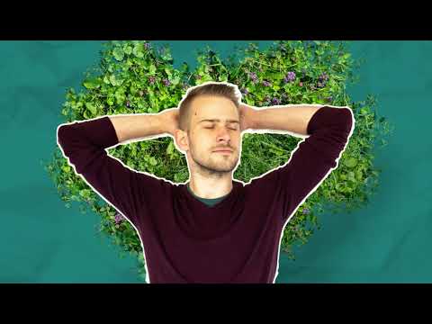 Studium an der Ernst-Abbe-Hochschule Jena: Die richtige Entscheidung!