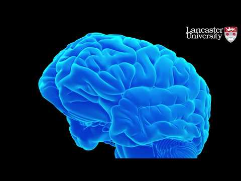 Diabetes drug “significantly reverses memory loss” in mice with Alzheimer’s