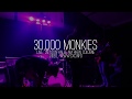 30,000 Monkies