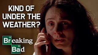Lydia&#39;s Fate | COMPILATION | Breaking Bad