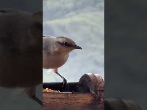 #nature #baraodecocais #minasgerais