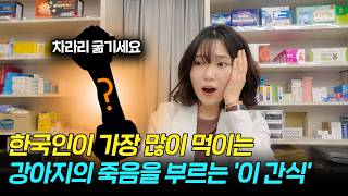 강아지를 죽게 만드는 간식? 약사가 내 강아지에게 절대 안 먹이는 간식, 당장 확인하세요!