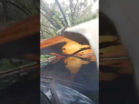 Thumbnail for 2001 Lincoln town car vinyl roof removal and rust repair PART 2 by Car