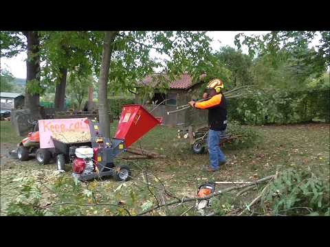 FBC Profi Chipper CIP 10 mit 13 PS Honda