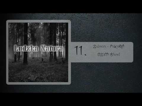 11. Żabson - P0K0RA (DZiMi Blend) [Ludzka Natura] 2017