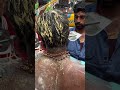 Parava Kavadi Anantha Shayana Kavadi Kavadi Kattu 2023 Kalikaala Shooran Song WhatsApp Status