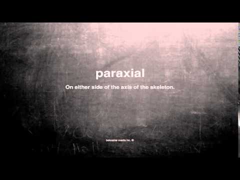 What does paraxial mean