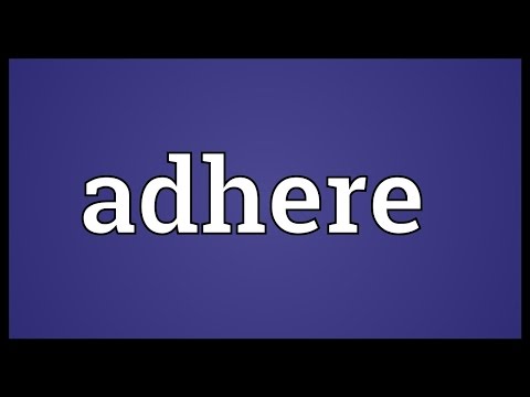 Adhere Meaning