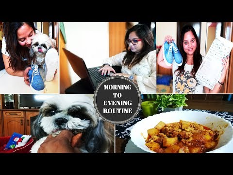 Indian Petmom Thursday Vlog | Morning To Evening Routine | MommyNFlurry Tale | Amazon shopping