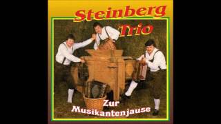 Steinberg Trio - Steirische Freunde (1985)