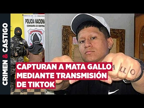 "Mata Gallo," Armando Javier Rotela's son, arrested after making threats on TikTok
