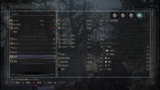 Bloodborne®_20180902134538