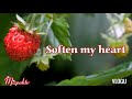 SOFTEN MY HEART Lyrics Maranatha Music