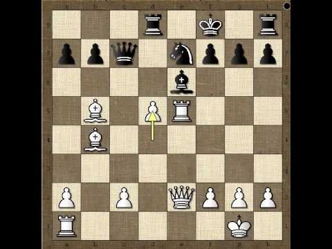 Crni je gotov Dama je vezana - BREYER vs ENGLUND - Skandinavska odb. # 501