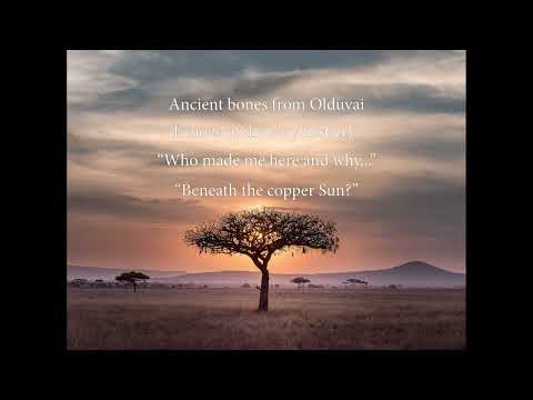 Scatterlings of Africa - Johnny Clegg & Juluka (lyrics video)